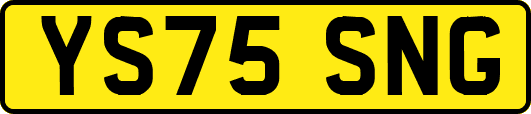 YS75SNG