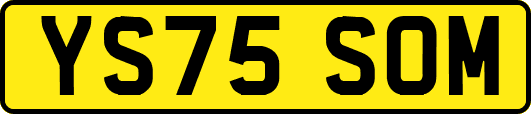 YS75SOM