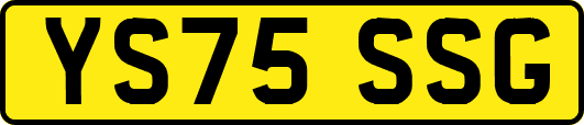 YS75SSG