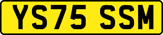 YS75SSM