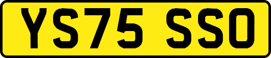 YS75SSO