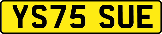 YS75SUE