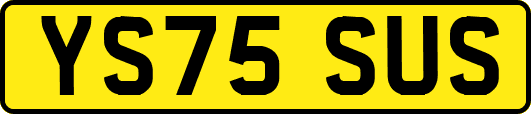 YS75SUS