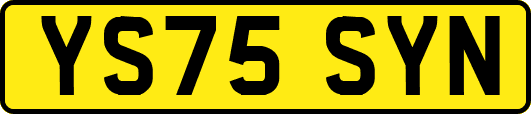 YS75SYN