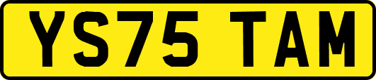 YS75TAM