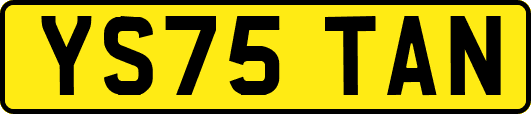 YS75TAN
