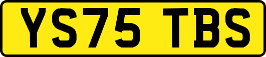 YS75TBS