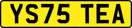 YS75TEA