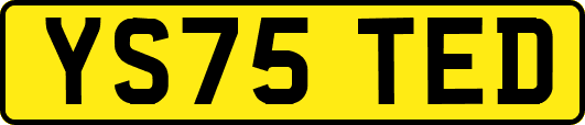 YS75TED