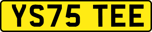 YS75TEE