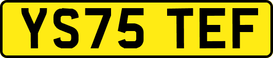 YS75TEF