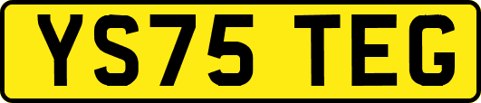 YS75TEG