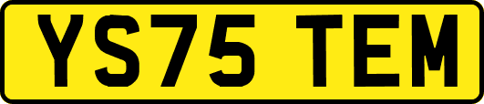 YS75TEM