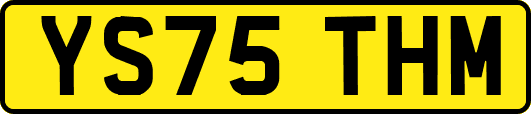 YS75THM