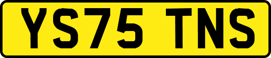 YS75TNS