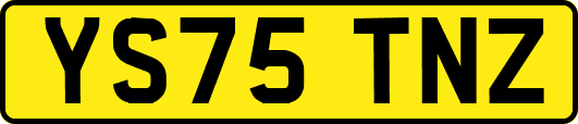 YS75TNZ