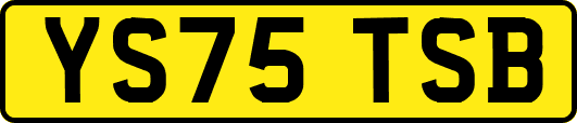 YS75TSB