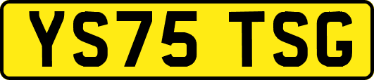 YS75TSG