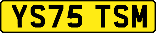 YS75TSM