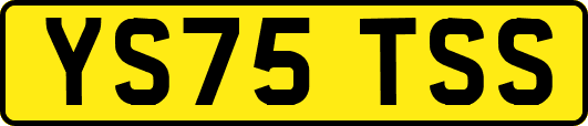 YS75TSS