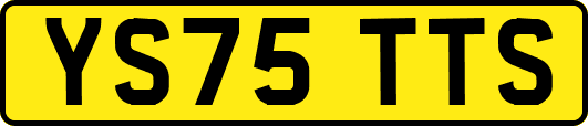 YS75TTS