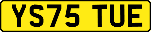 YS75TUE