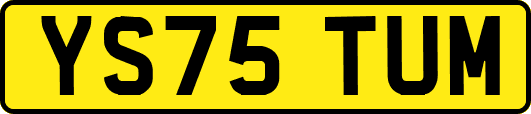 YS75TUM
