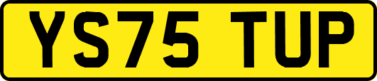 YS75TUP