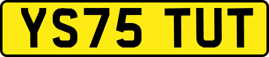 YS75TUT