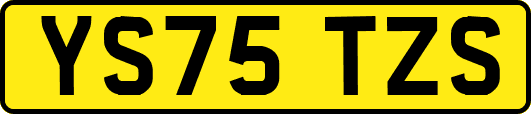 YS75TZS