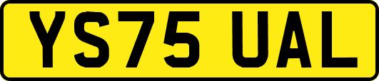YS75UAL