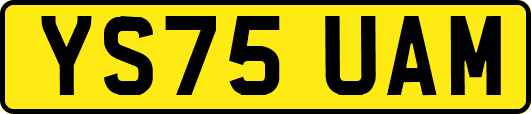 YS75UAM