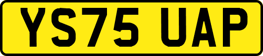 YS75UAP