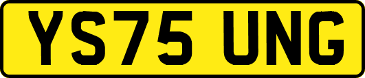 YS75UNG