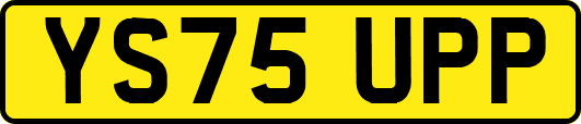 YS75UPP