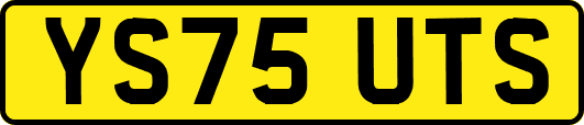 YS75UTS