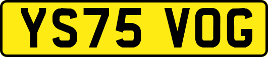 YS75VOG