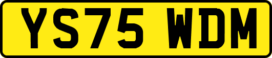 YS75WDM