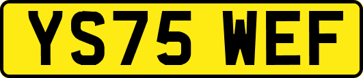 YS75WEF