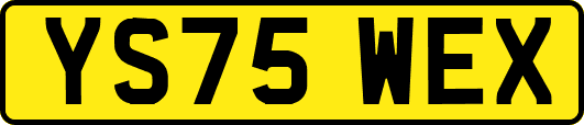 YS75WEX