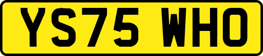 YS75WHO
