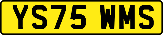 YS75WMS