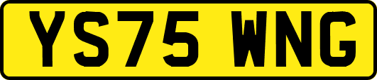 YS75WNG