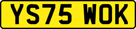 YS75WOK