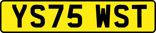 YS75WST