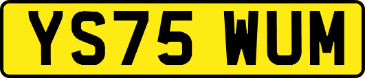 YS75WUM