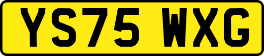 YS75WXG