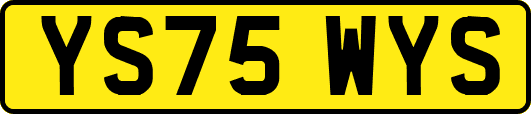 YS75WYS