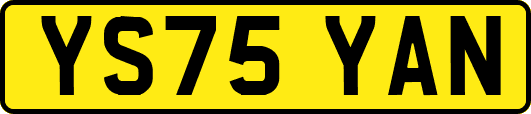 YS75YAN