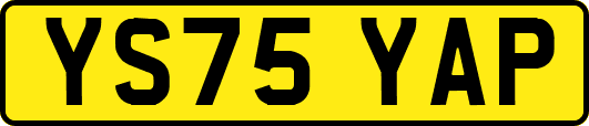 YS75YAP